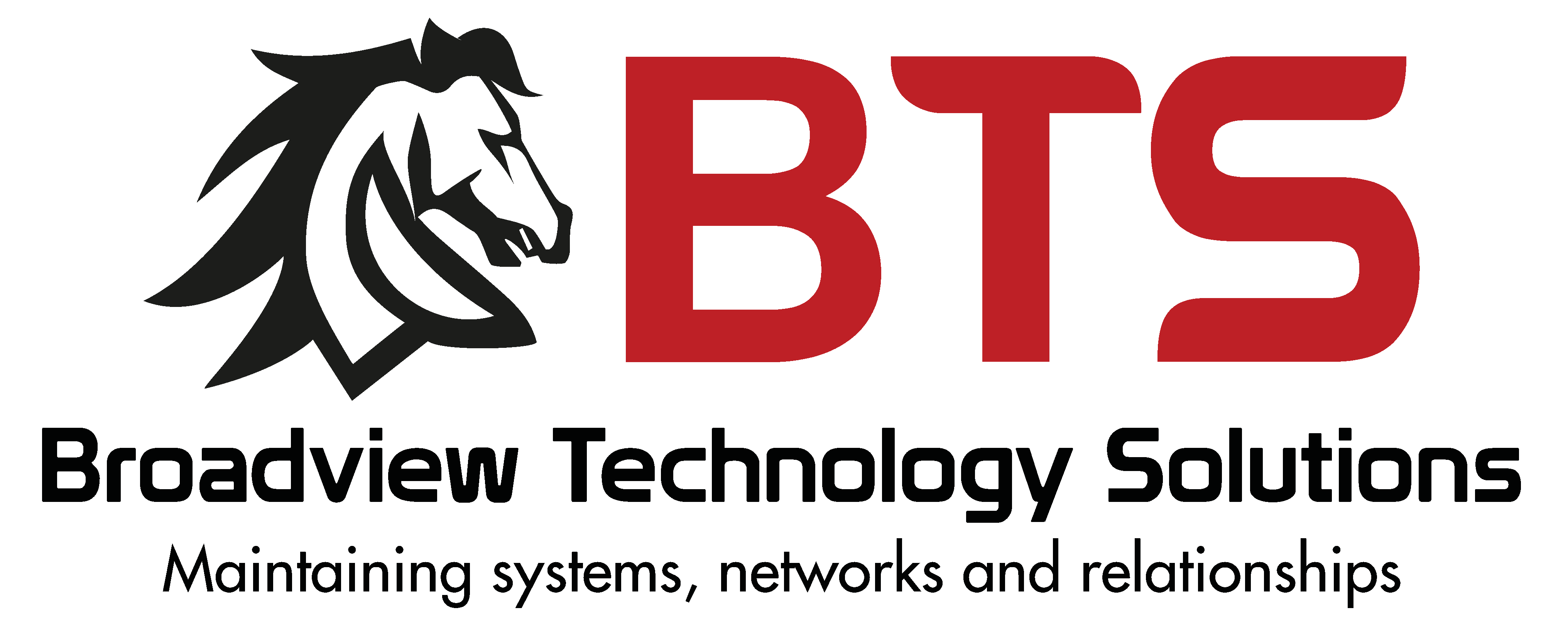Broadview Technology Solutions